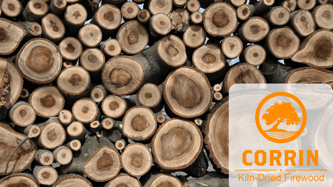 The Pros and Cons of Choosing Walnut Firewood