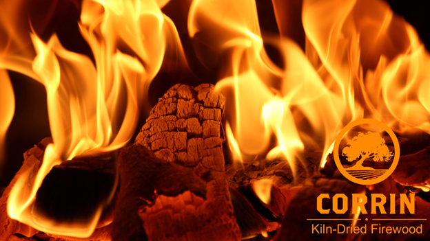 Hardwood vs. Softwood Kiln Dried Firewood - Which is the Hotter Choice?