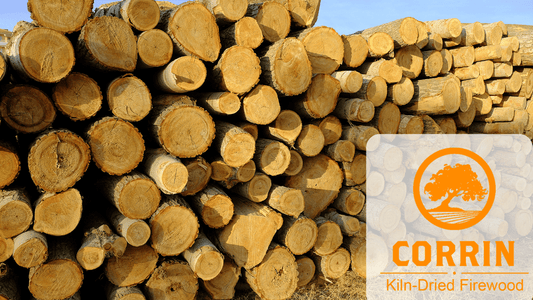 Is Cottonwood Good Firewood?