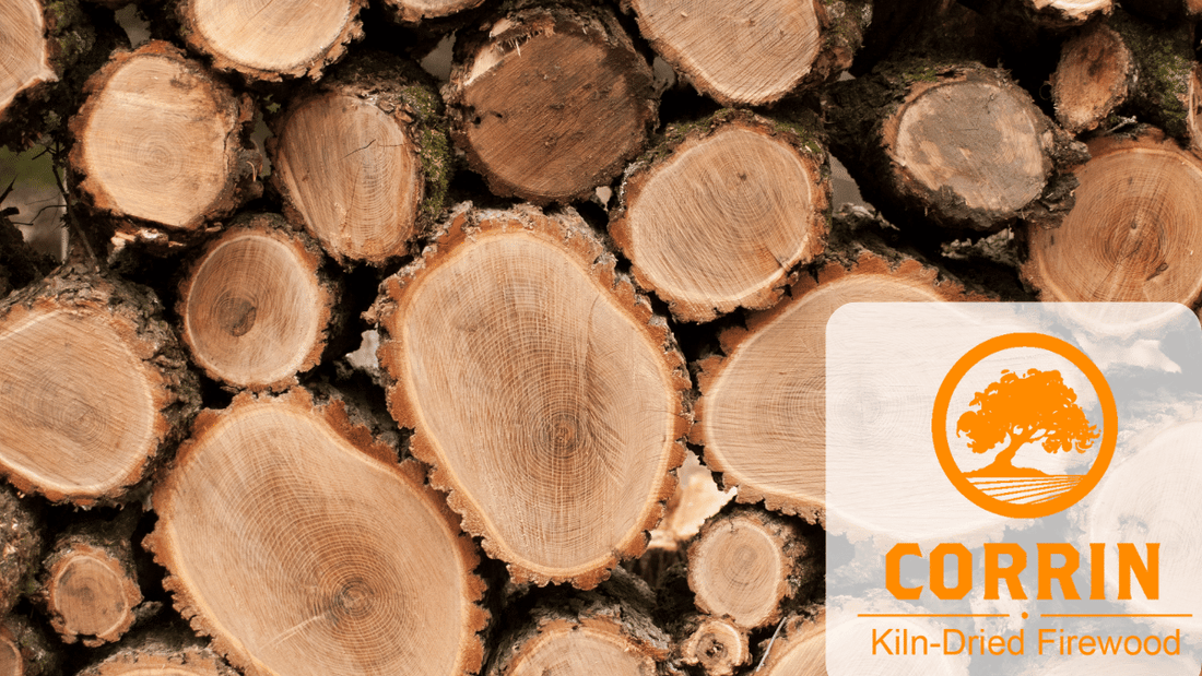 Can You Burn Locust Wood in a Fireplace: Safe & Efficient Tips